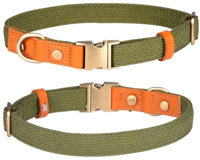 Dailygoods- Halsband Verstelbaar - Nylon/Huisdierhalsband - Veiligheidsgesp - Roestvrij Stalen Sluiting - Lichtgewicht - Ademend Materiaal - Hondenhalsband