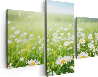 Artaza Canvas Schilderij Drieluik Bloemenveld Van Madeliefjes - Bloemen - 90x60 - Foto Op Canvas - Canvas Print