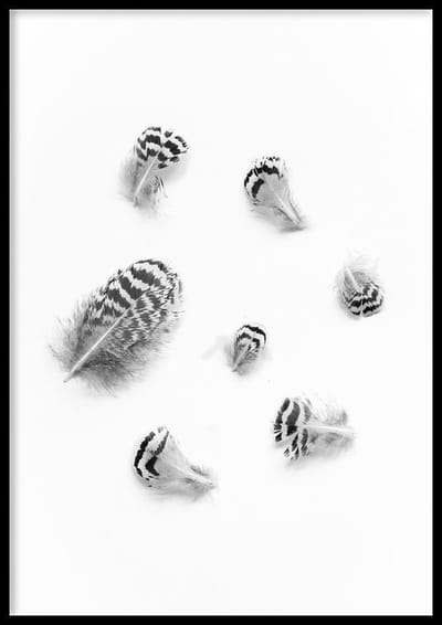 Poster Mini Veertjes - 30x40cm met Fotolijst – Natuur Poster – Ingelijst