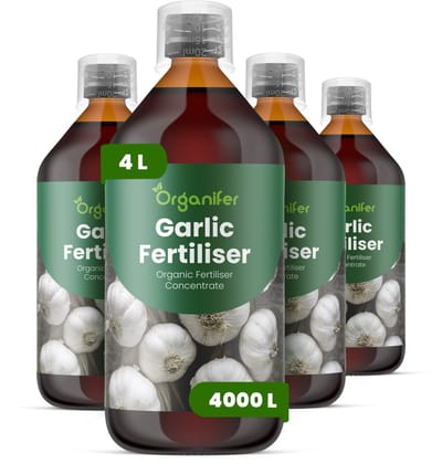 Vloeibare Meststof Voor Knoflook 4X1 L Voor 4000 L - Npk 2-1-8 - Sterke Loofontwikkeling - Bolontwikkeling - Vroege Wortelvorming - Voedingsopname - Bolvastheid - Verbetert Bolvastheid - Uniformiteit En Bewaarbaarheid - Organifer