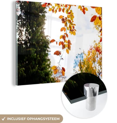 MuchoWow® Glasschilderij 40x30 cm - Schilderij acrylglas - Herfst - Bladeren - Natuur - Foto op glas - Schilderijen