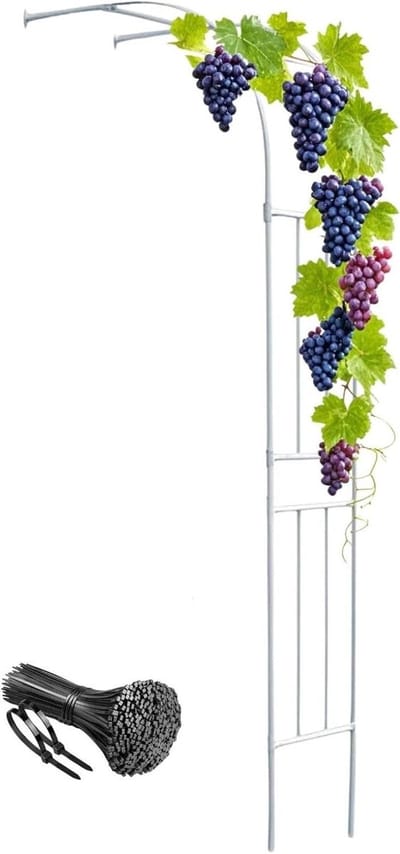 Rozenboog Metaal - Klimboog Tuinboog - Planten Ondersteunen - Halfzijdige Vorm - 150 x 240 cm - Wit