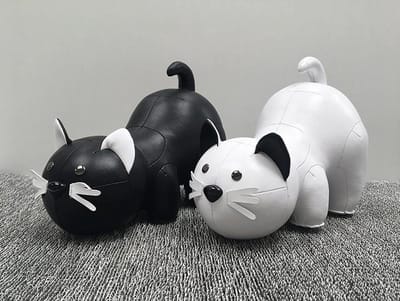 Zuny-Katten-Set-Boekensteunen