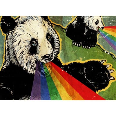 5D Doe-het-zelf Diamantschilderij Kleurtekening Reuzenpanda Mozaïek Kruissteek Kunst Regenboogpatroon Diamantborduurwerk Ambacht Huisdecoratie Full Round (20X30CM)