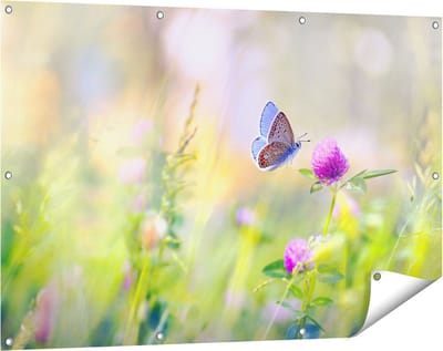 Gards Tuinposter Blauwe Vlinder bij een Paarse Bloem - 120x80 cm - Tuindoek - Tuindecoratie - Wanddecoratie buiten - Tuinschilderij