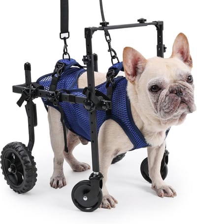 Hondenrolstoel 4 wielen - Mobiliteitshulpmiddel hond - Revalidatie poten - Verstelbare steun - Lichtgewicht ontwerp
