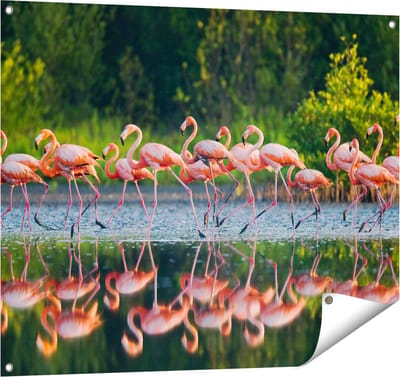 Gards Tuinposter Kudde Flamingo's op het Water - 100x80 cm - Tuindoek - Tuindecoratie - Wanddecoratie buiten - Tuinschilderij