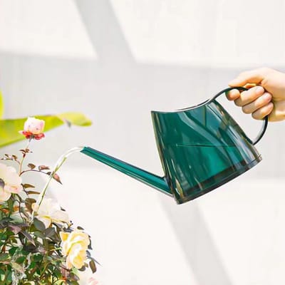Grote Gieter met Lange Tuit voor Binnen- en Buitenplanten
