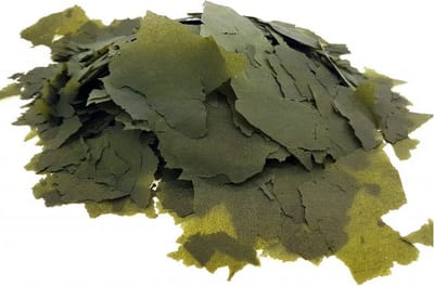 Spirulina vlokken - Vissen vlokvoer - 100 ml