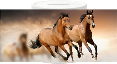 Spaarpot - Bruine paarden