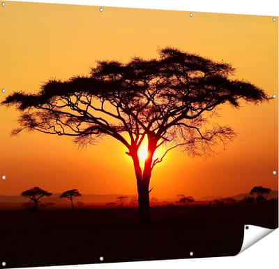 Gards Tuinposter Zonsondergang Achter een Savanne Boom - 150x120 cm - Tuindoek - Tuindecoratie - Wanddecoratie buiten - Tuinschilderij