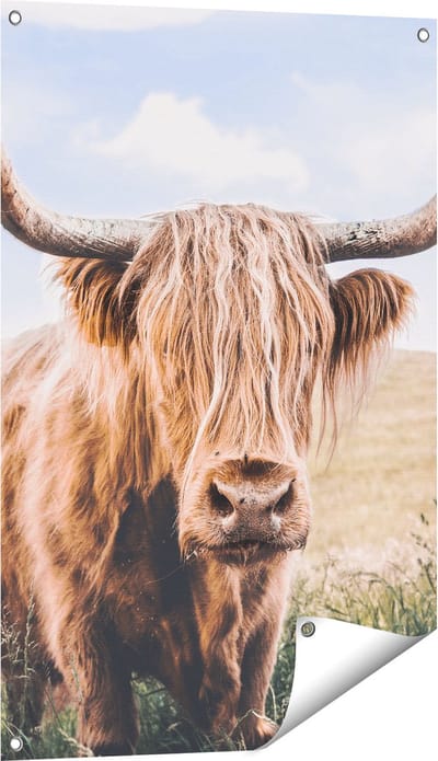 Gards Tuinposter Schotse Hooglander Koe in de Wei - 60x90 cm - Tuindoek - Tuindecoratie - Wanddecoratie buiten - Tuinschilderij
