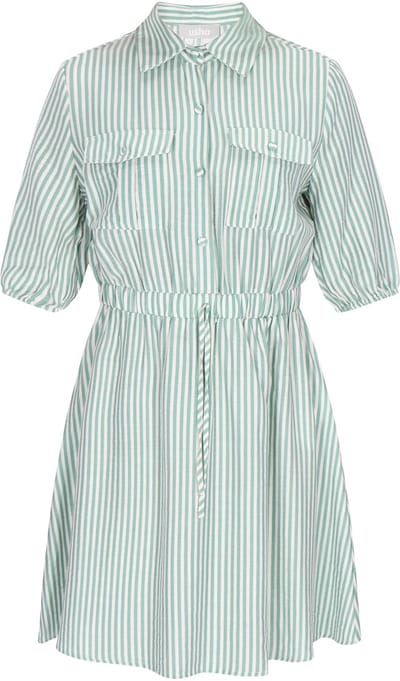 usha Dress