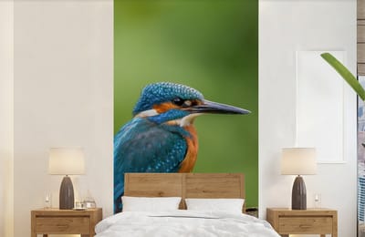 Behang - Fotobehang IJsvogel - Tak - Mos - Vogel - Groen - Breedte 120 cm x hoogte 240 cm
