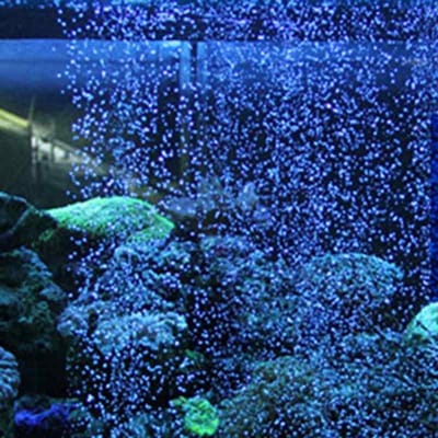 Flexible Pompe à Air Pierre Ride Mur de Bulles Tube Tuyau Ligne Tuyau Diffuseur Aérateur Accessoires Aquarium 8inches