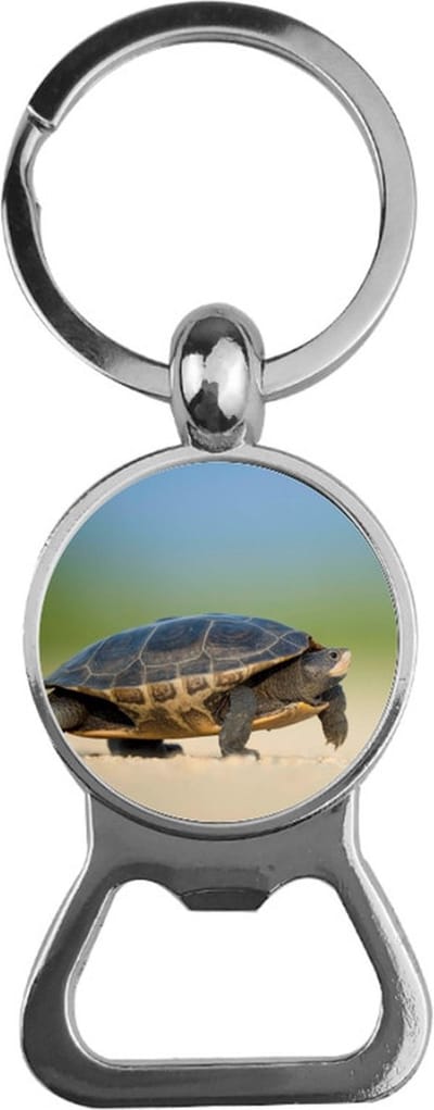 Bieropener Glas - Schildpad