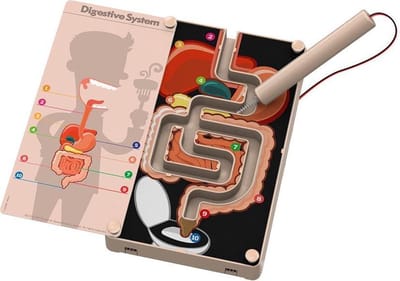 4M KidzLabs: STRESSTESTER / SPIJSVERTERINGSYSTEEM, gedetailleerde instructies inbegrepen, werkt op 1x1.5V AAA batterij (niet inbegrepen), in doos, 8+