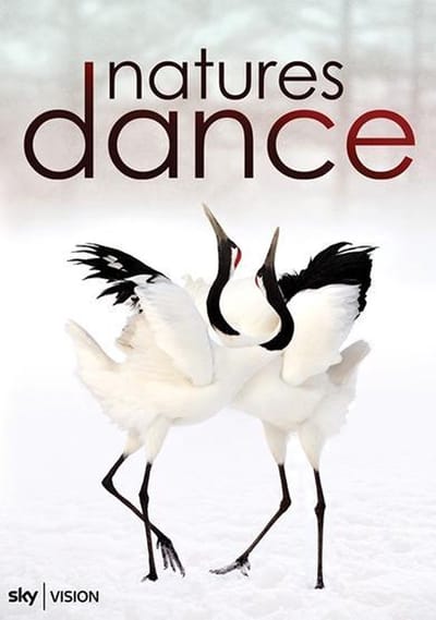 Natures dance