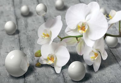 Fotobehang Modern Abstract Flowers Design | XL - 208cm x 146cm | 130g/m2 Vlies