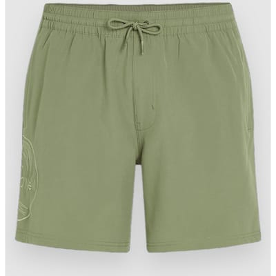 O'Neill O'Riginals Cali Ocean 16'' Boardshorts groen