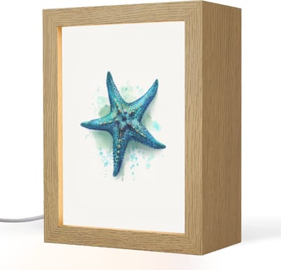 Nachtlampje 15x20 cm - Kinder lampje - Zeester - Blauw - Spetters - Tafellamp kinderkamer - Slaapkamer lamp - Bedlamp kinderen - Kinderlampje stopcontact - Wandlamp babykamer - Nachtlampjes