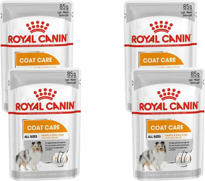 Royal Canin - Coat Care Hondenvoer Nat - 48 x 85 gr