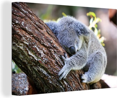 Canvas Schilderij Koala - Boomstam - Knuffel - Kids - Jongens - Meiden - 90x60 cm - Wanddecoratie