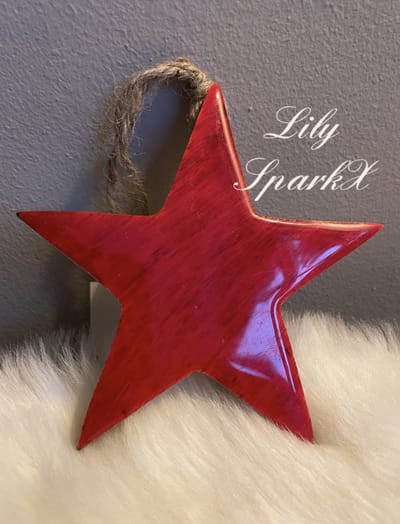 Kerstster hanger | Rood hout - Kerstmis decoratie - kerst ornament - Kerstmis - Christmas - Red - Kerst Ster - Boomversiering - Kerstboom - Tree - Versiering - Feest - Kerststal - Kerstdagen - Winter - Kerstsfeer - Star - Kerstboomster - Kerstviering