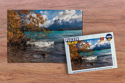 Puzzel Meer Pehoe in het Nationaal park Torres del Paine in Chili - Legpuzzel - Puzzel 1000 stukjes volwassenen