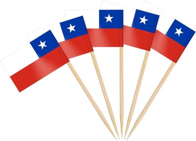 Decoratieve Mini Tandenstokers met Vlaggen voor Feestjes, Cocktails en Cupcakes - Perfect voor Eurovisie en Olympische Evenementen