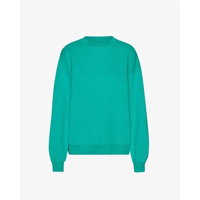 Oversized sweatshirt Colorful Standard Tropical Sea