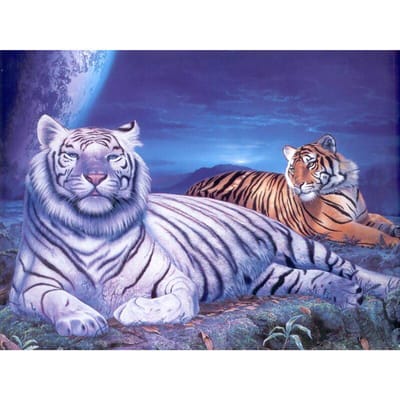 5D Diamond schilderij tijger paar dieren volledige ronde boor borduurwerk schilderij kruissteek 20X30CM gray