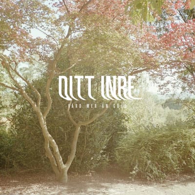 Ditt Inre - Vard Mer An Guld (LP)