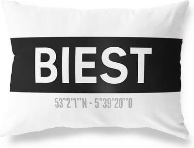 Tuinkussen BIEST - NOORD-BRABANT met coördinaten - Buitenkussen - Bootkussen - Weerbestendig - Jouw Plaats - Studio216 - Modern - Zwart-Wit - 50x30cm