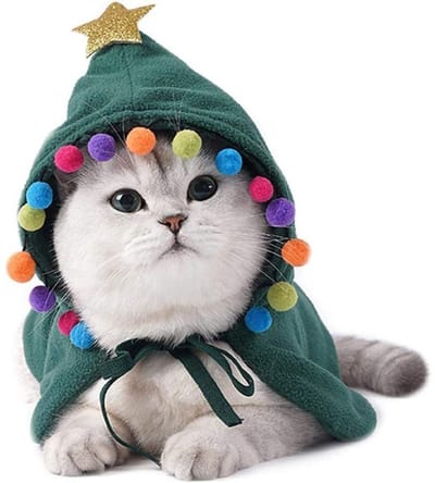 QTTVBTNA - 1 stuk Kerstoutfit voor Huisdieren - Groene Kerstmantel met Sterren & Pompons - Feestelijke Kerstcape met Bijpassende Muts voor Katten en Kleine Honden - Schattig Kerstpakje - Maat M - Groen