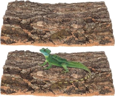 Natuurlijke Terrarium Decoratie voor Reptielen - Boomschors Platform voor Klimmen en Rusten van Schildpadden, Hagedissen en Spinnen - 2 Stuks