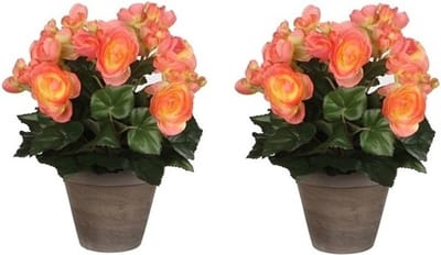 Mica Decoration Kunstplant - 2x - begonia - zalmroze - in pot - 25 cm - nepplanten