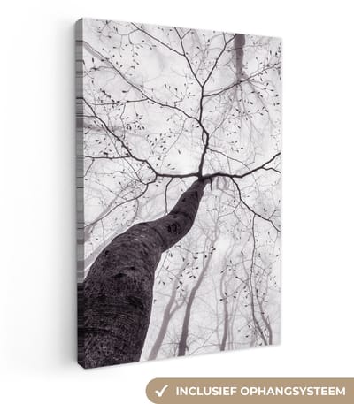 Canvas schilderij 20x30 cm - Wanddecoratie Boom - Takken - Bladeren - Mist - Muurdecoratie woonkamer - Slaapkamer decoratie - Kamer accessoires - Schilderijen op canvas