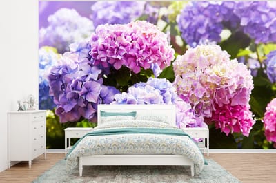 Behang - Fotobehang Bloemen - Hortensia - Roze - Bladeren - Zon - Breedte 400 cm x hoogte 300 cm