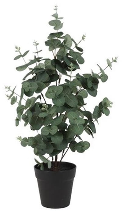 Countryfield Kunstplant Eucalyptus Groen 65 cm – Kunsttak Eucalyptus – Onderhoudsvrije Woondecoratie