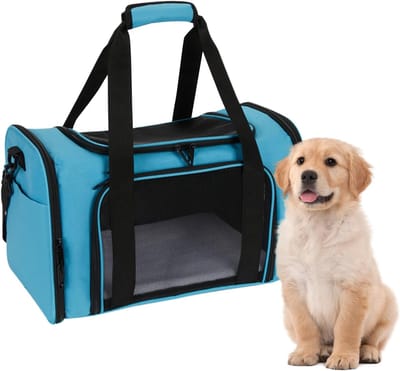 Huisdier transporttas - Draagbox reizen - Veilig vervoer - Ademend en wasbaar - 45 x 28 x 28 cm - Blauw