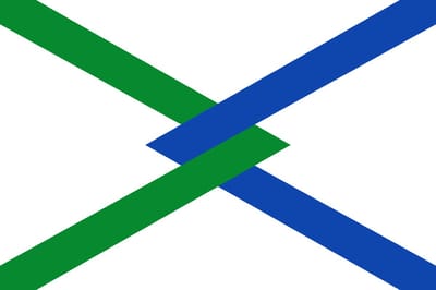 Vlag Hamme 150x225cm
