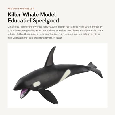 Dailygoods- Walvis Model Educatief - Dierenfiguren Speelgoed - Huisdecoratie - Verjaardagscadeau - Creatief Spel - Realistisch Dierenfiguur