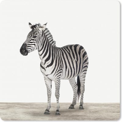 Muismat 20x20 cm - Mousepad Dieren - Zebra - Zwart - Wit - Muismatten