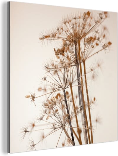 Aluminium schilderij 90x90 cm - Wanddecoratie metaal - Droogbloemen - Stilleven - Wit - Planten - Bloemen - Metalen muurdecoratie woonkamer - Decoratie industrieel - Foto op dibond - Industriële accessoires slaapkamer