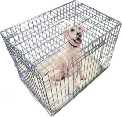 Famanu - Medium hondenkooi, 30 inch, dubbele deur, metalen lade en hondenmat