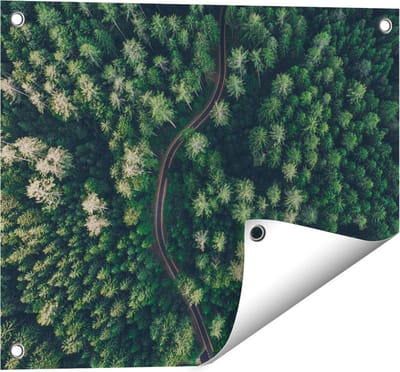 Gards Tuinposter Weg Door Bos met Bomen - Bovenaanzicht - 50x40 cm - Tuindoek - Tuindecoratie - Wanddecoratie buiten - Tuinschilderij