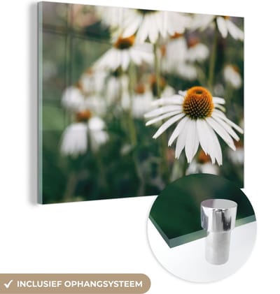 MuchoWow® Glasschilderij 40x30 cm - Schilderij acrylglas - Bloemen - Herfst - Botanisch - Foto op glas - Schilderijen