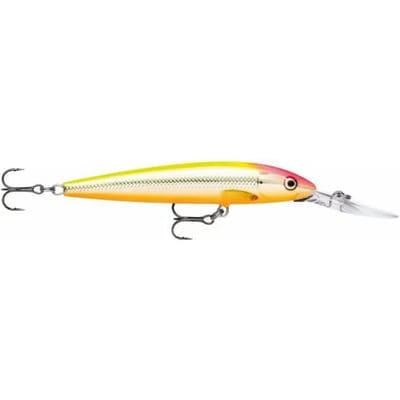 Ophangen van kunstaas Rapala down deep husky jerk 10 cm