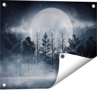 Gards Tuinposter Maan tussen de Bomen in de Nacht - 50x40 cm - Tuindoek - Tuindecoratie - Wanddecoratie buiten - Tuinschilderij